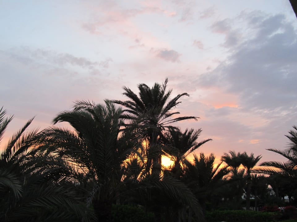 Blick vom Balkon Sentido Djerba Beach