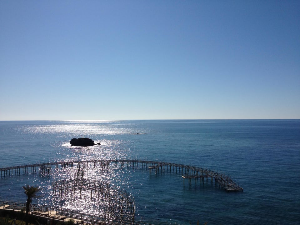 Steg Granada Luxury Okurcalar