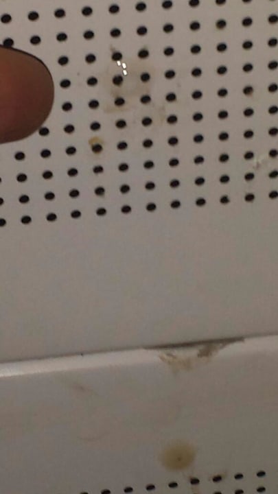 Decke tropfte AQI Pegasos World