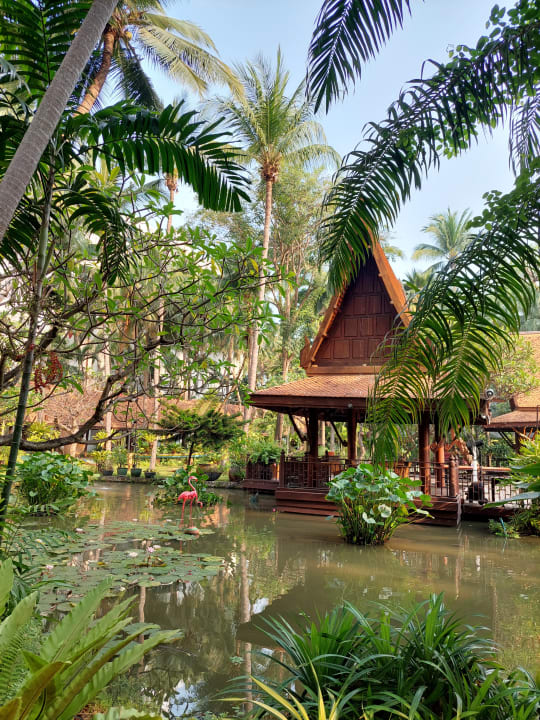 Gartenanlage Avani Pattaya Resort