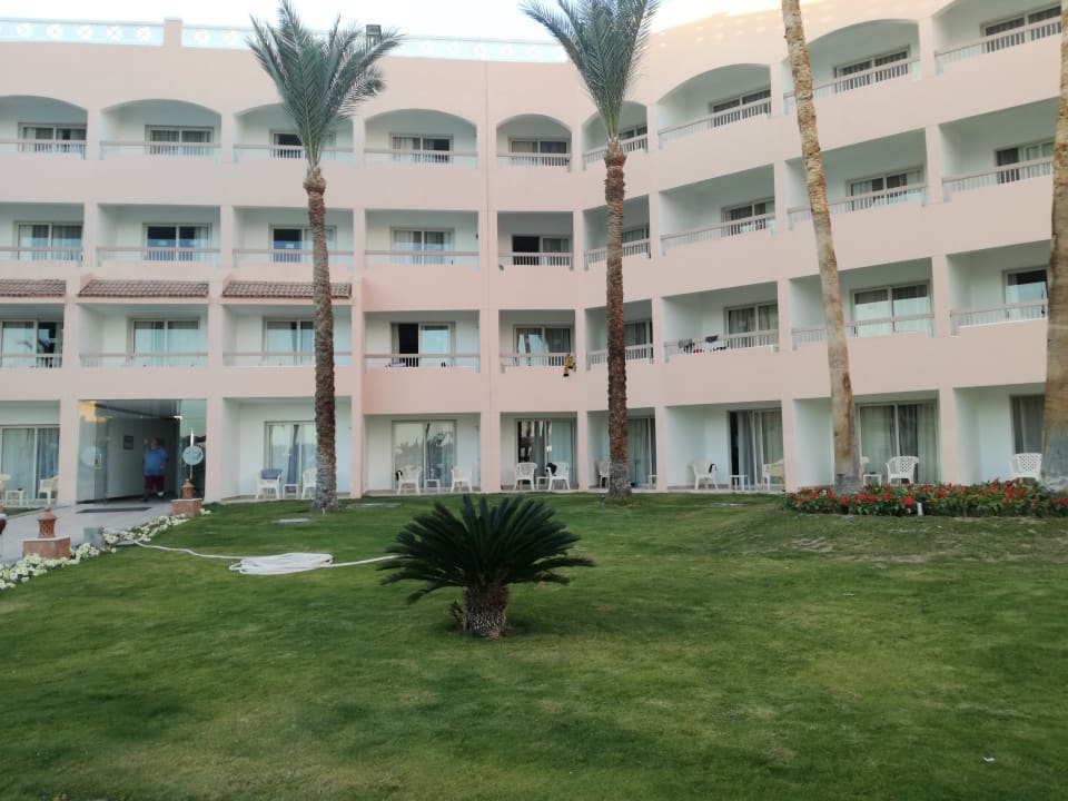 Zimmer Beach Albatros Resort