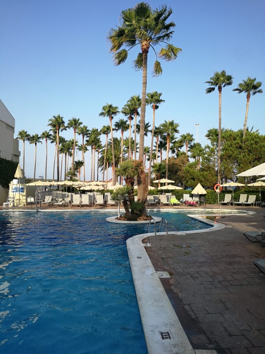Pool Hipotels Mediterraneo Club
