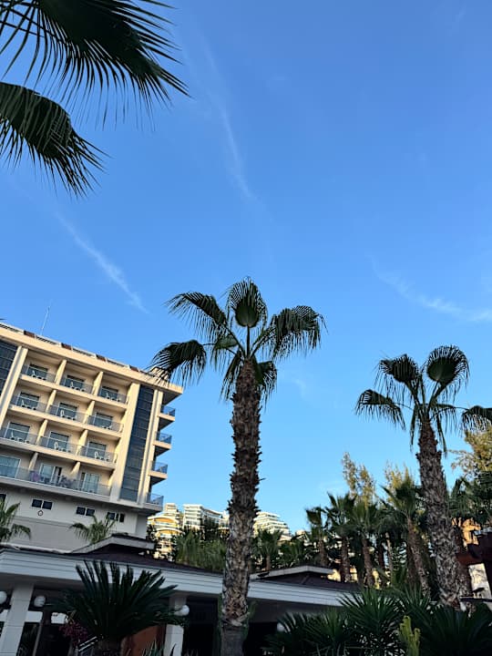 Gartenanlage Dizalya Palm Garden