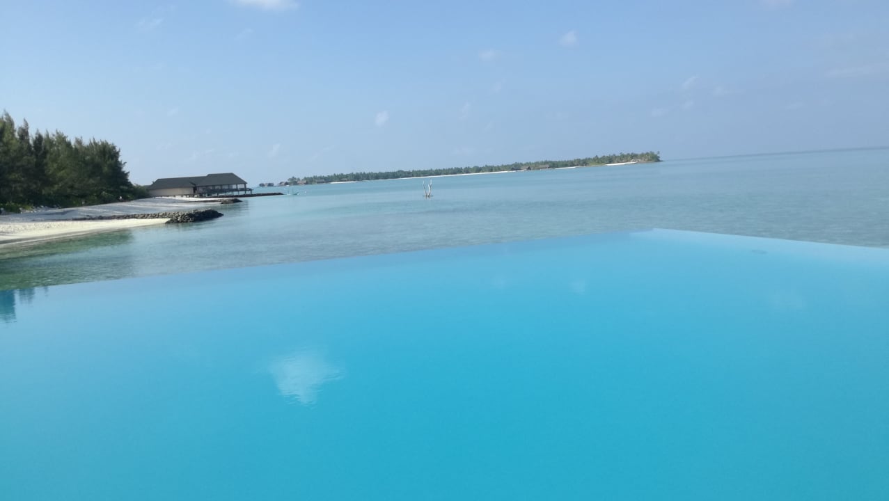Pool Summer Island Maldives