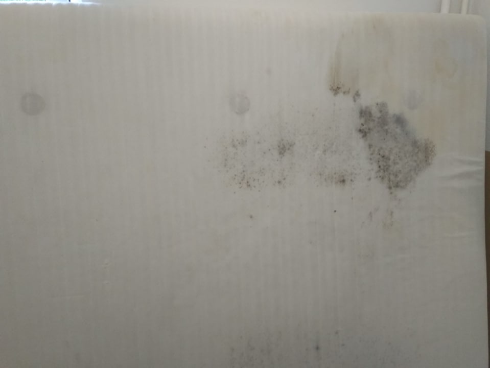 Zimmer Queen's Park Hotel