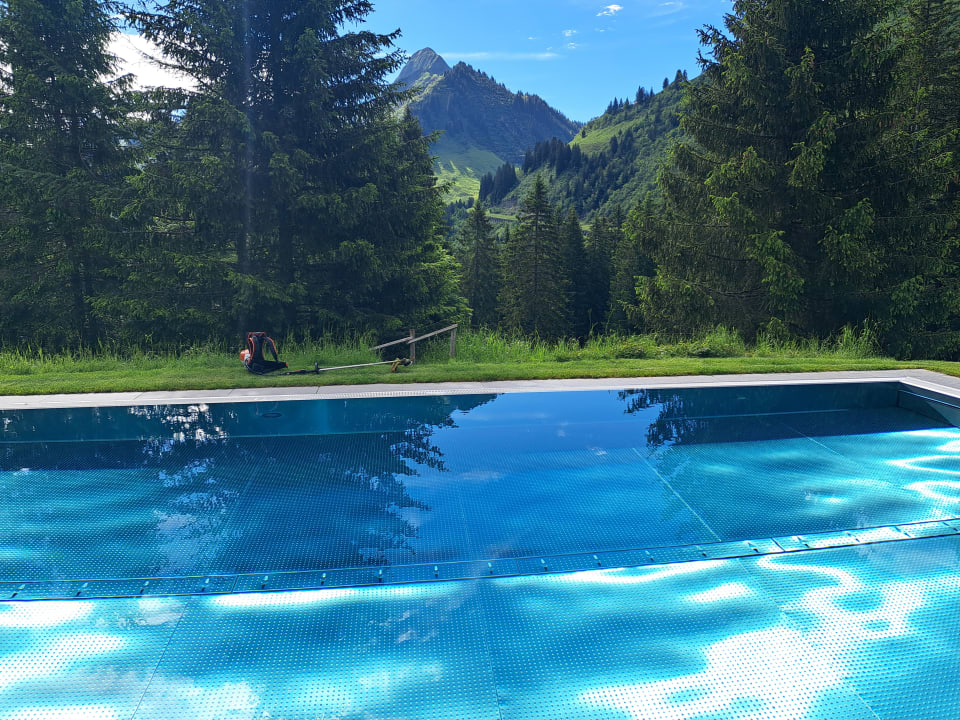 Pool Adler Damüls Hotel Gasthof