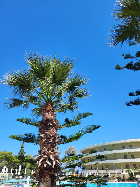 Außenansicht Hotel Kalithea Horizon Royal