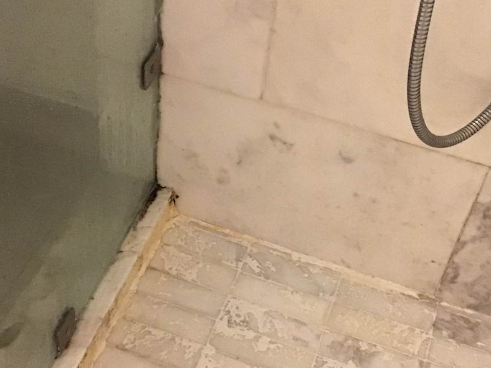 Zimmer Dreams Dominicus La Romana