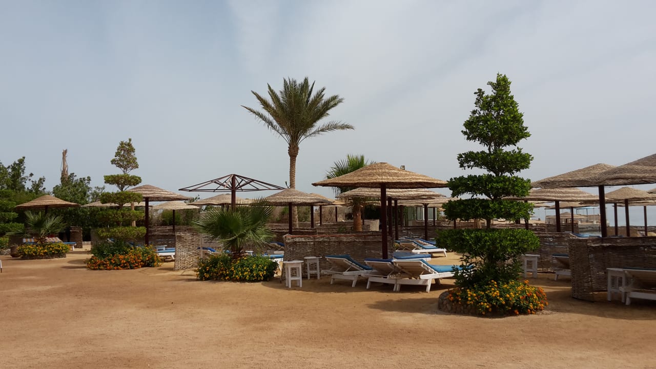 Strand Sea Star Beau Rivage