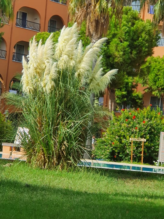 Gartenanlage Club Turtas Beach Hotel