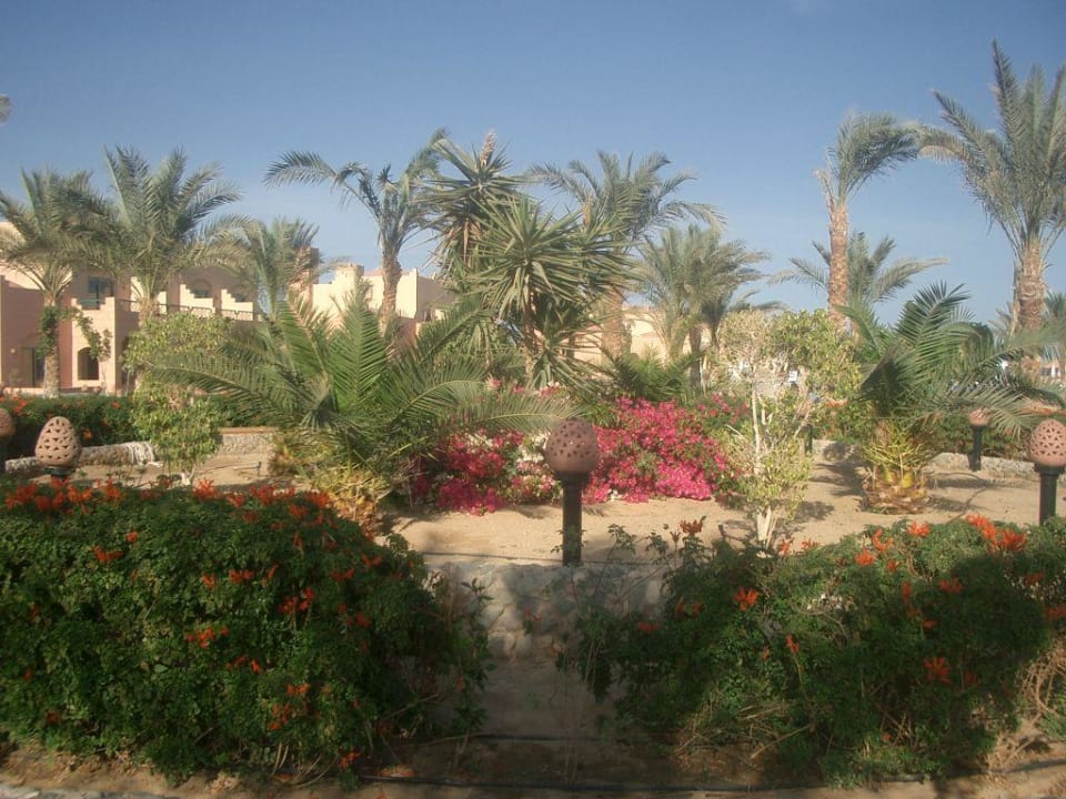 Gartenanlage Sentido Akassia Beach