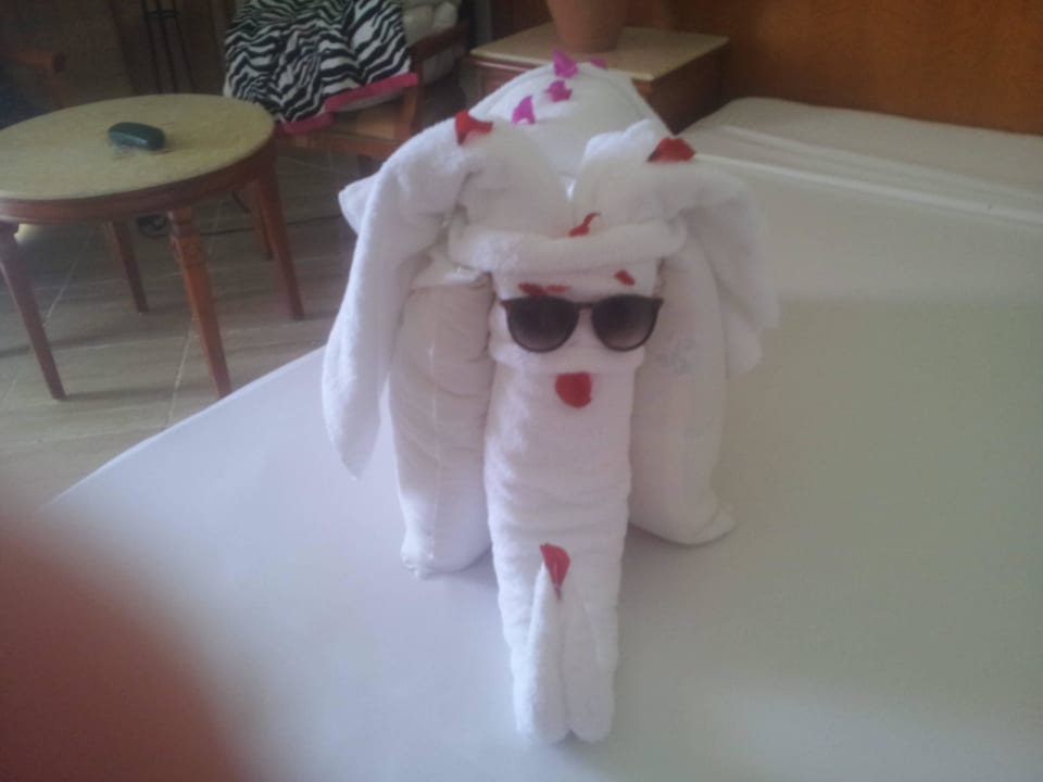 Zimmer Malikia Resort Abu Dabbab