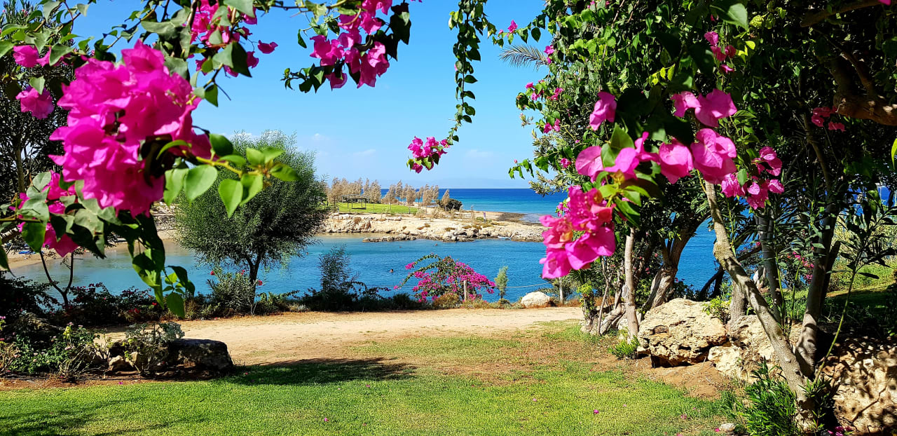 Gartenanlage Crystal Springs Beach Hotel