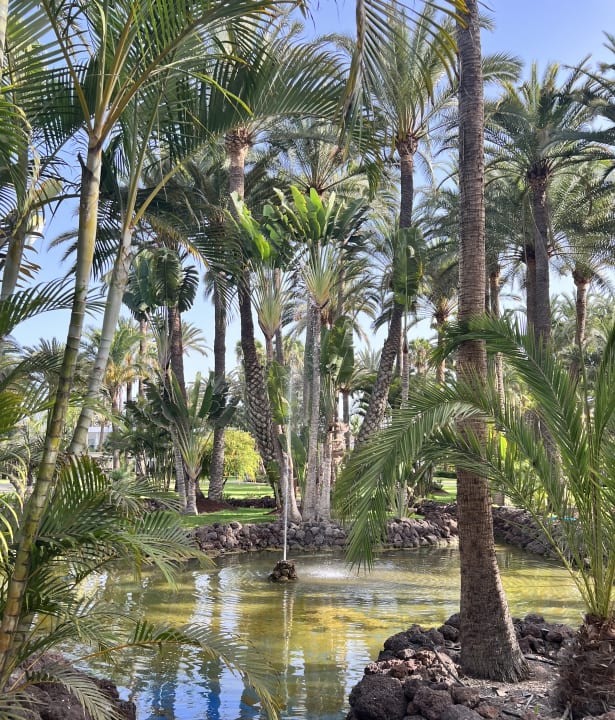 Außenansicht Hotel Riu Palace Oasis