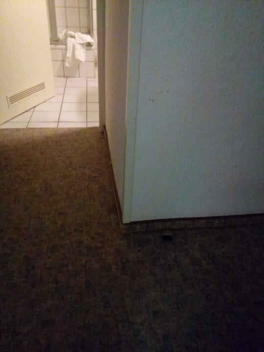 Zimmer Panoramic - Ihr Apartmenthotel im Harz