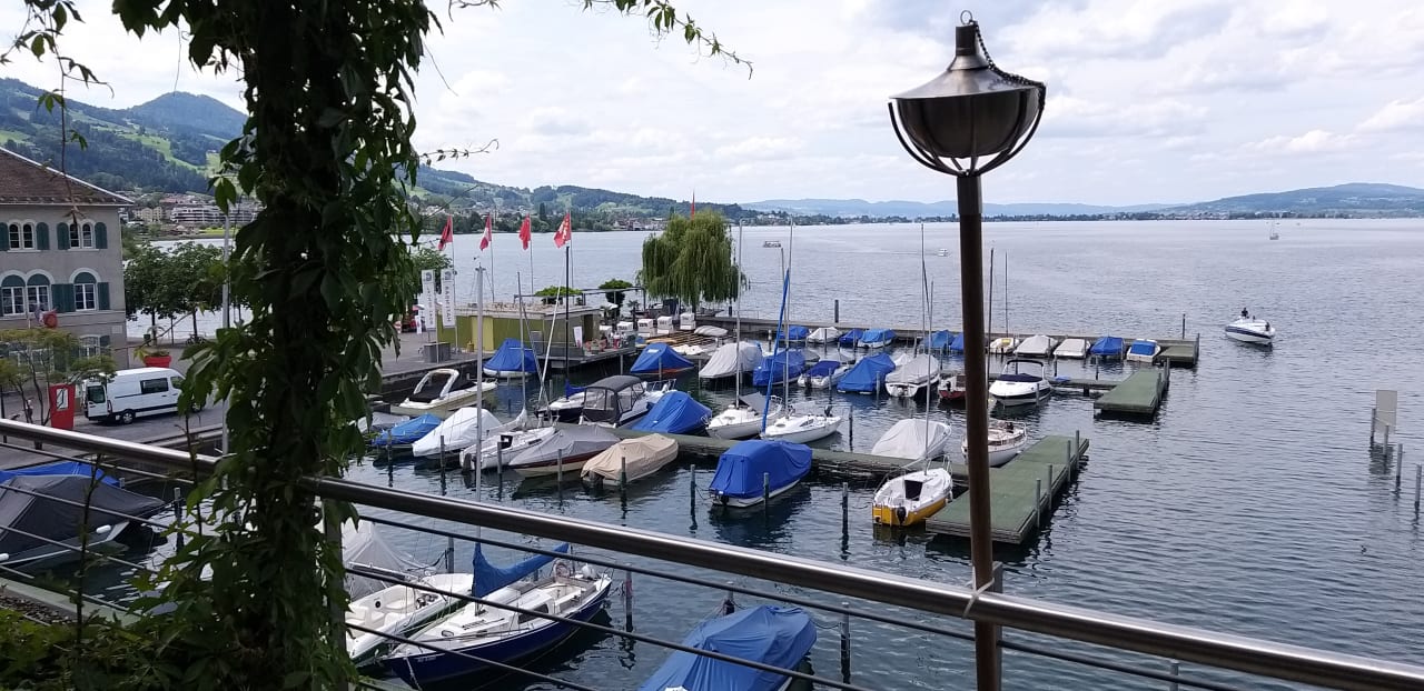 Ausblick Marina Lachen