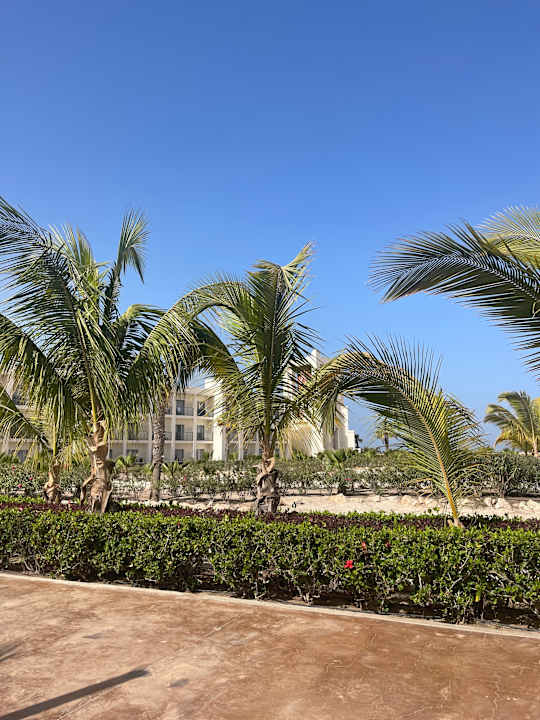 Ausblick Hotel Riu Palace Santa Maria