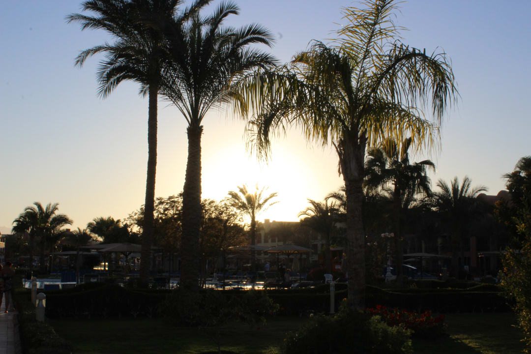 Gartenanlage Titanic Beach Spa & Aqua Park