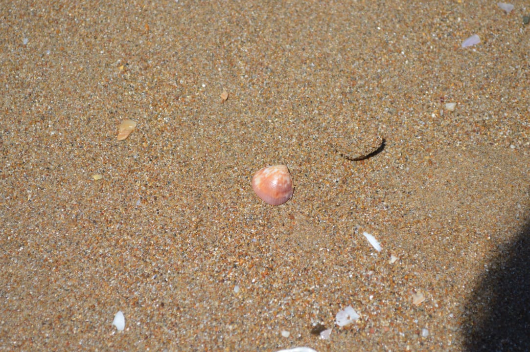 Strand Hane Family Resort