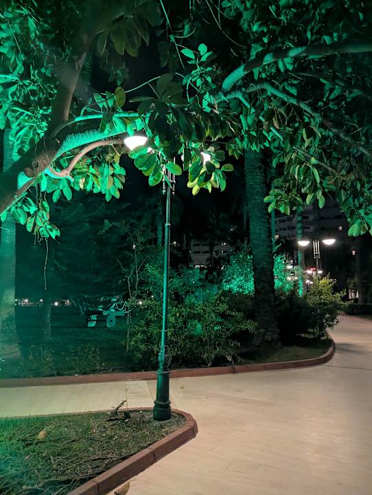 Gartenanlage Saphir Resort & Spa