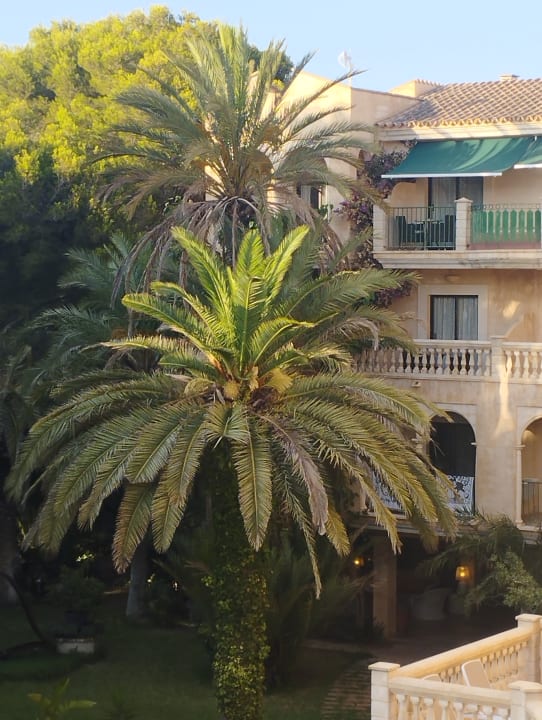 Ausblick Lago Garden