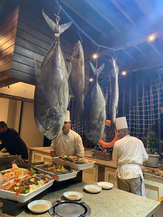 Gastro JAZ Elite Casa del Mar Beach