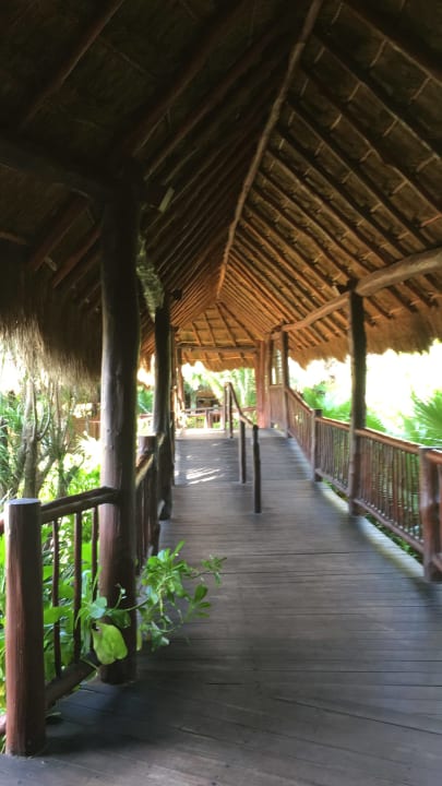 Sonstiges Akumal Bay Beach & Wellness Resort