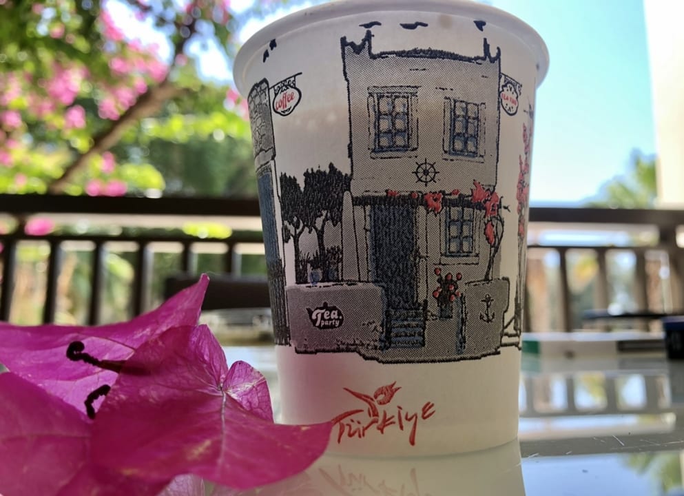 Zimmer Latanya Park Resort