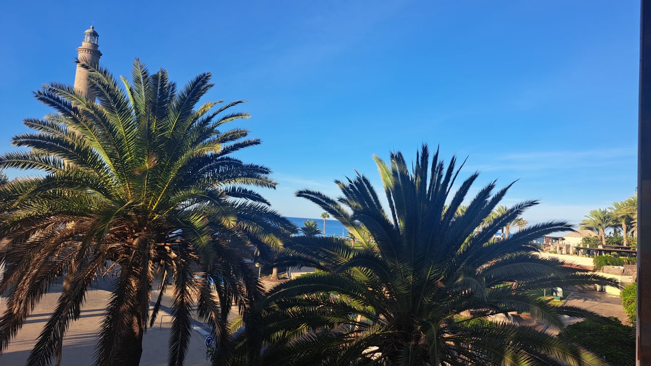 Ausblick Hotel Riu Palace Oasis