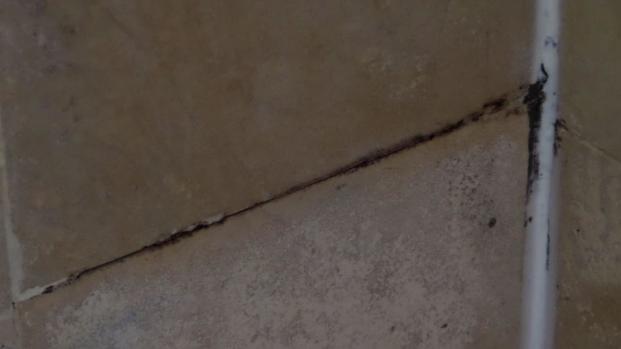 Schimmel an den Fliesen Hotel El Mouradi Djerba Menzel