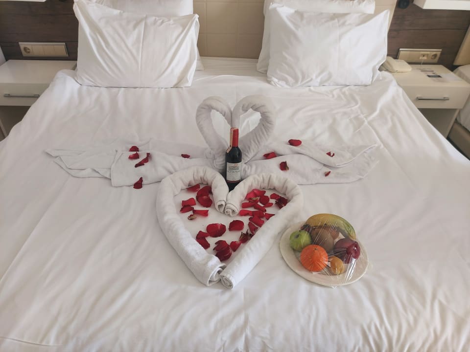 Zimmer Gold Island Selected