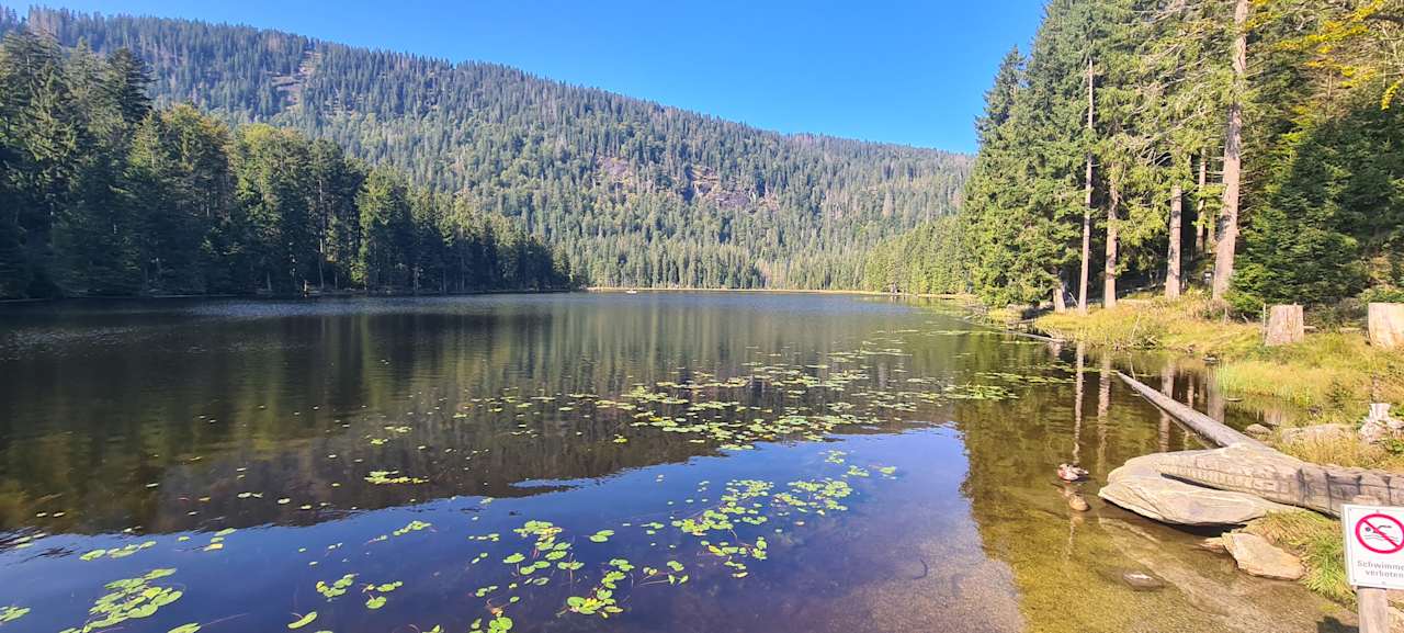Außenansicht Gäste- & Appartmenthaus Weber