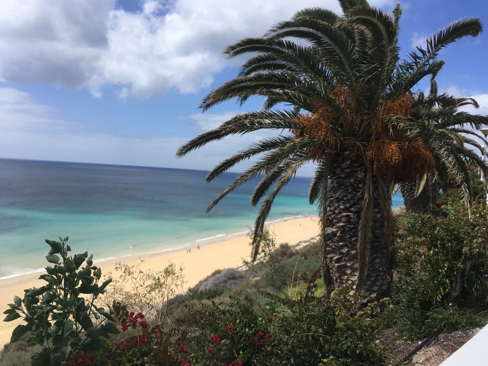 Ausblick SBH Club Paraiso Playa