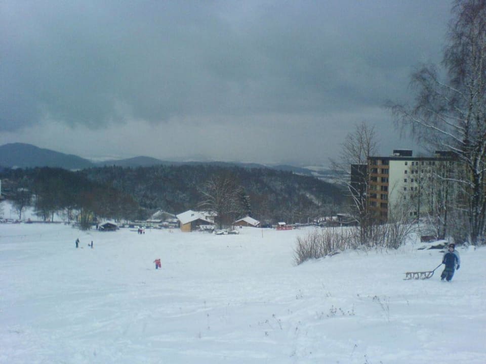 oben am Geyersberg, direkt neben der Ferienanlage Ferienpark Geyersberg