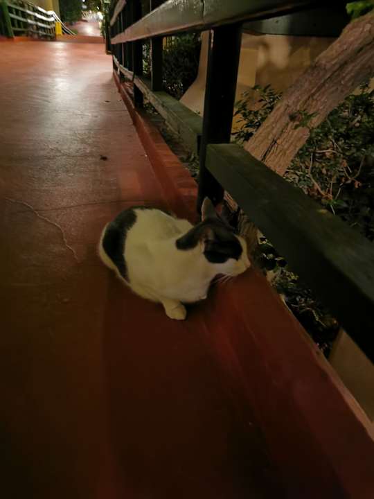 Sonstiges Oz Hotels Incekum Beach