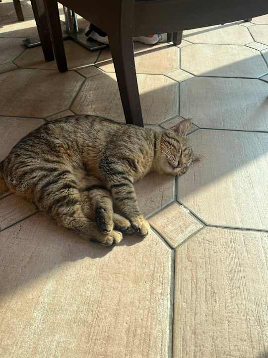 Lobby Limak Limra Hotel & Resort