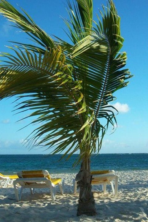 Strand Catalonia Punta Cana - All Inclusive