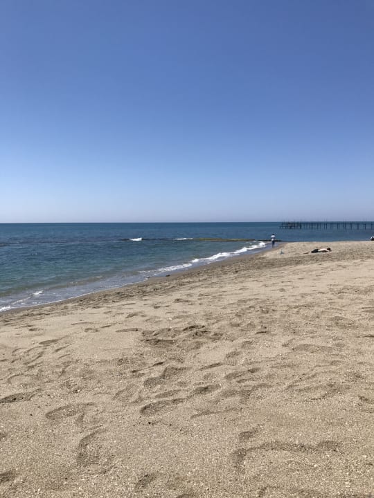 Strand Palmeras Beach Hotel