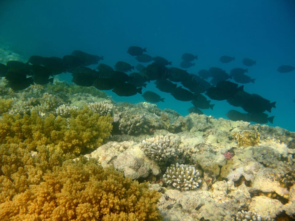 19 Stella Beach Resort & Spa Makadi Bay