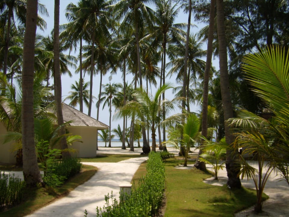 Weg durch die Anlage Kura Kura Resort