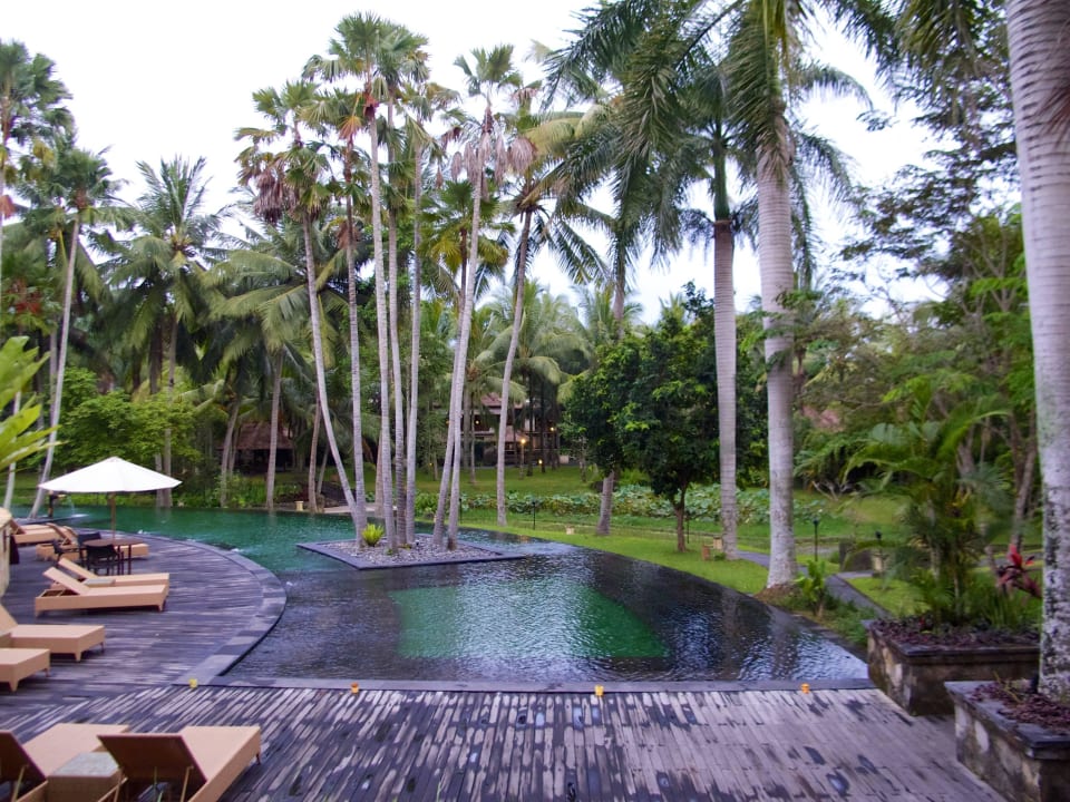 Pool The Ubud Village Resort & Spa