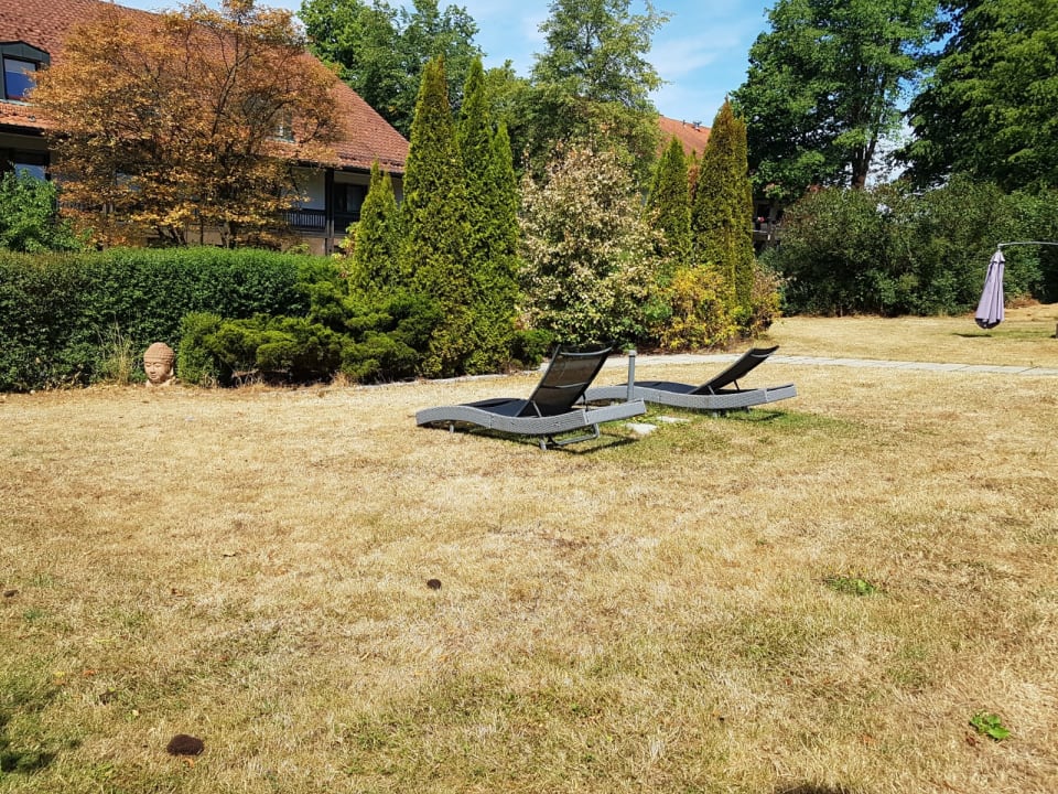 Gartenanlage Hotel Resort Birkenhof Therme