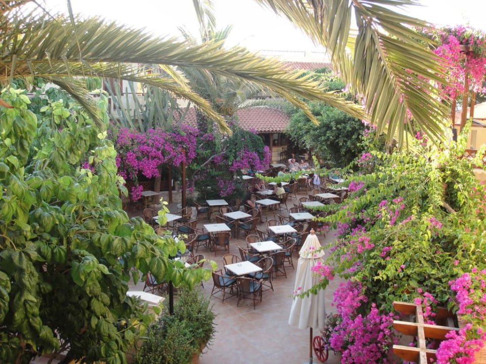 Innenhof Cactus Beach