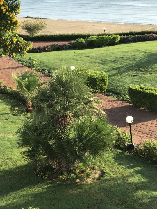 Gartenanlage Three Corners Equinox Beach Resort