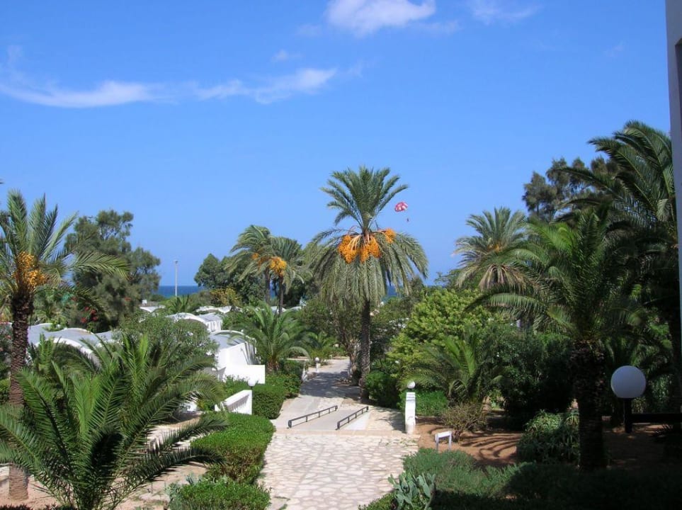 Gartenanlage Hotel Coralia Jawhara Palm Beach
