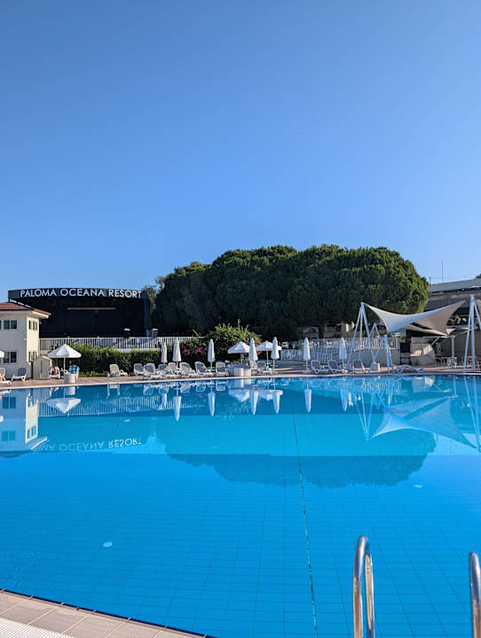 Pool Paloma Oceana
