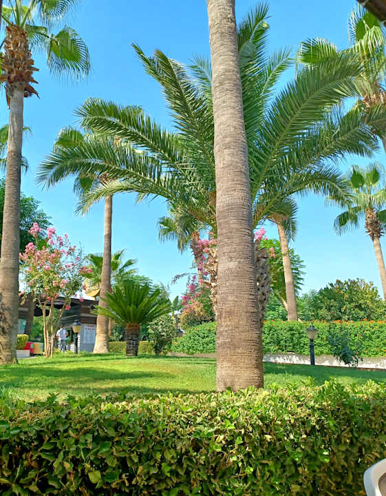 Gartenanlage Aydinbey Kings Palace & Spa