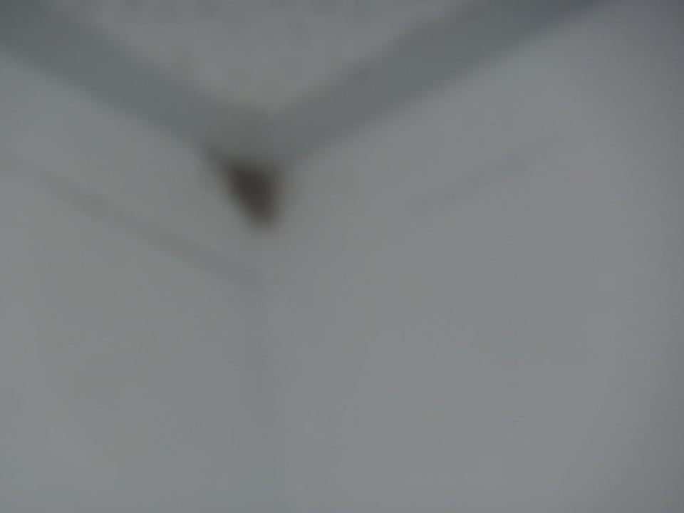 Mängel im Hotel Hotel Sineva Beach