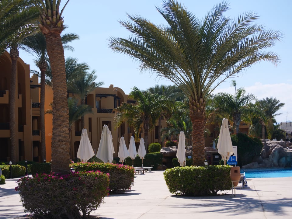 Pool Stella Garden Resort & Spa, Makadi Bay