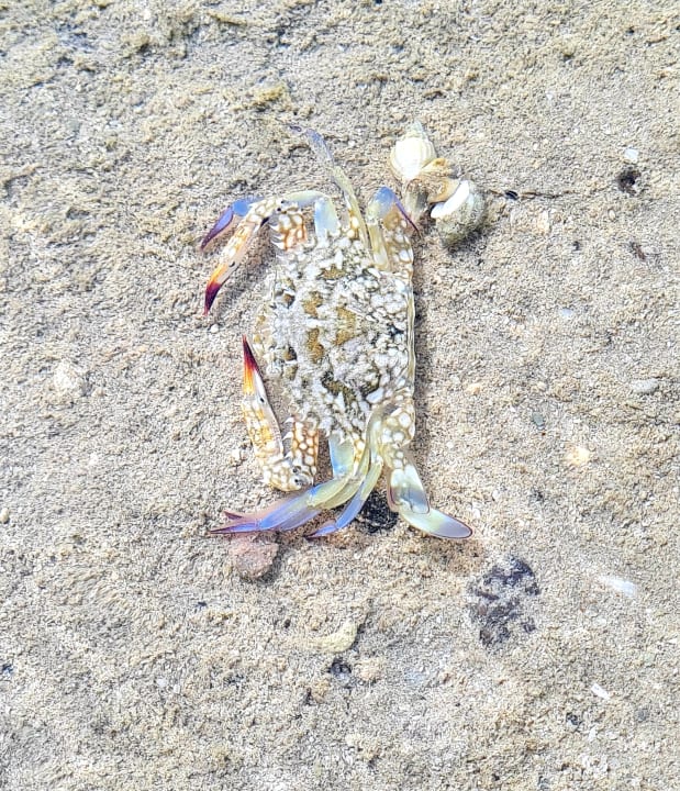 Strand Conrad Abu Dhabi Etihad Towers